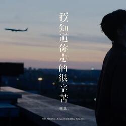 我知道你走的很辛苦