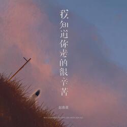 我知道你走的很辛苦