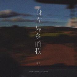身在异乡的我