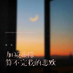 加减乘除算不完我的悲欢