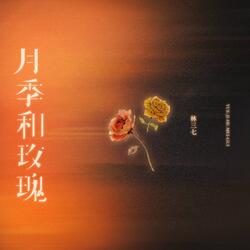 月季和玫瑰