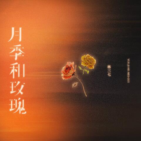 月季和玫瑰