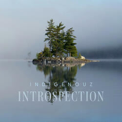 Introspection