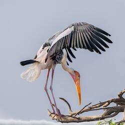 This beat tastes like nostalgia