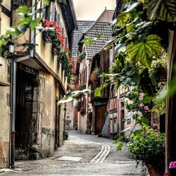 when the mind screams and the beat responds