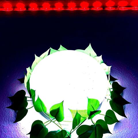 Mood-Lights