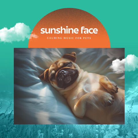 Sunshine Face