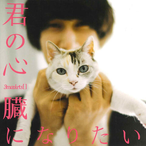 kimi no shinzo ni naritai