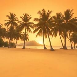 Tropical Dance