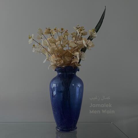 JAMALEK MEN WAIN