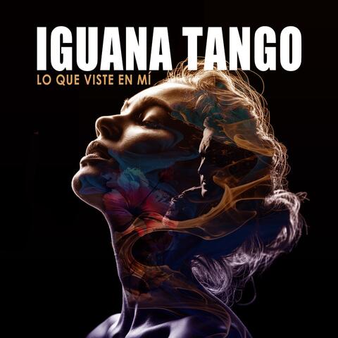 Lo Que Viste En Mí