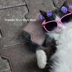 Trends Wut Wut Wut