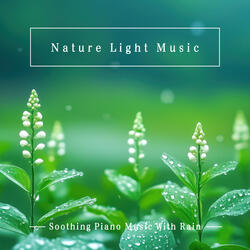 Forest of Memories (Water Path White Noise Nature Sounds)
