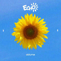 Echo (Inst.)
