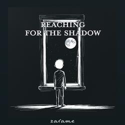 Reaching for the Shadow