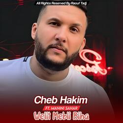Welit Mebli Biha