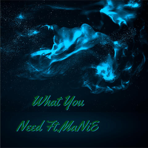 What You Need