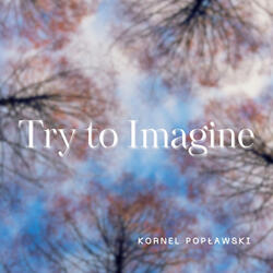 Try to Imagine