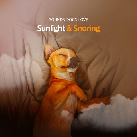 Sunlight & Snoring