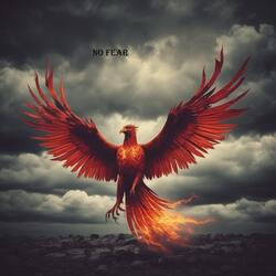 no fear