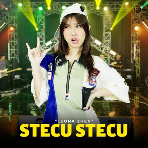 Stecu Stecu