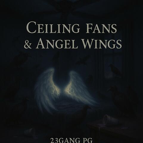 Ceiling Fans & Angel Wings