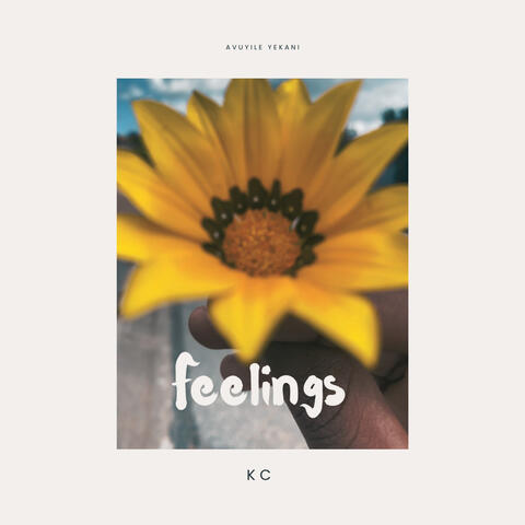 Feelings
