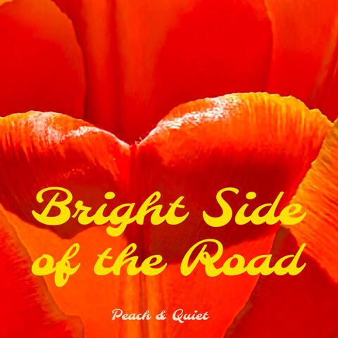 Bright Side of the Road