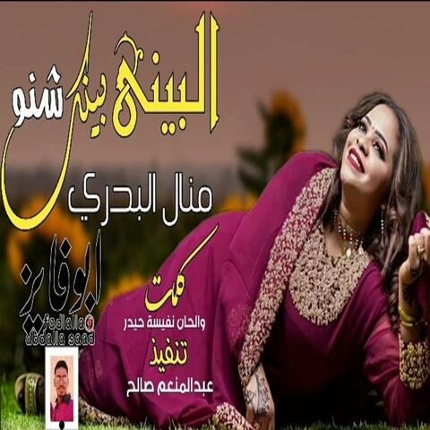 البيني بينك شنو