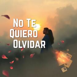 No Te Quiero Olvidar