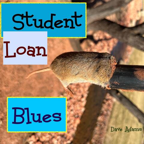 Student Loan  Blues