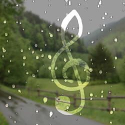 Latter Rain