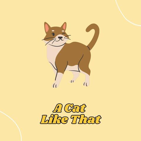 A Cat Like That