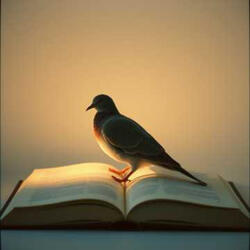 By Grace Are We Saved