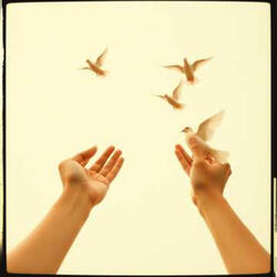 Saved By Grace  (Country)