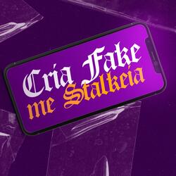 CREATE FAKE, STAKE ME