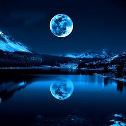 Bajo la luz de la luna