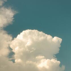Entwined Hearts