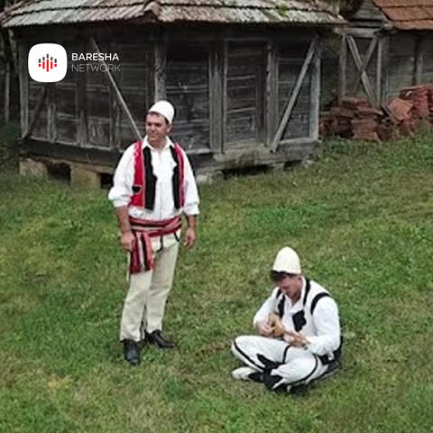 Qifteli mike e vjeter