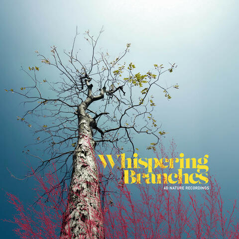 Whispering Branches