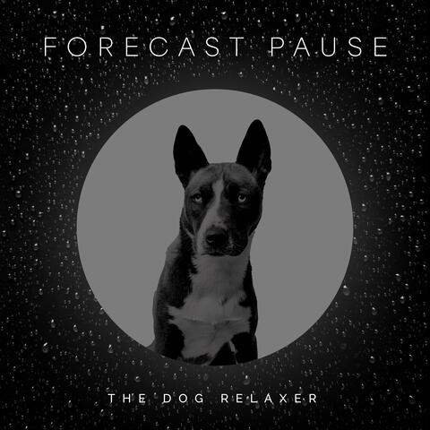 Forecast Pause