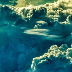 Wold