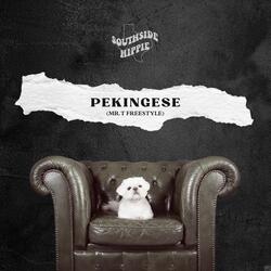 Pekingese ( Mr. T Freestyle)
