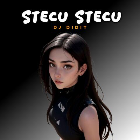 DJ Stecu Stecu