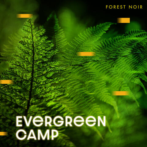 Evergreen Camp