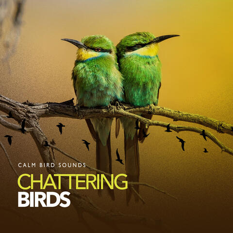 Chattering Birds