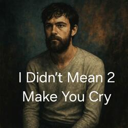 I Didn't Mean 2 Make You Cry