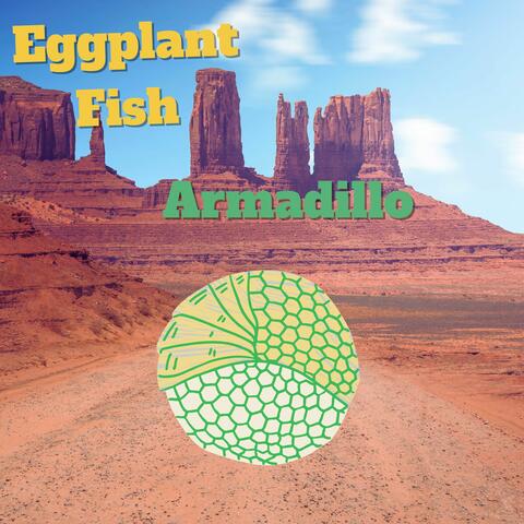 Armadillo