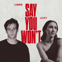 Say You Won't