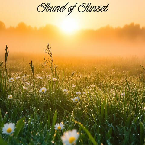 Sound of Sunset